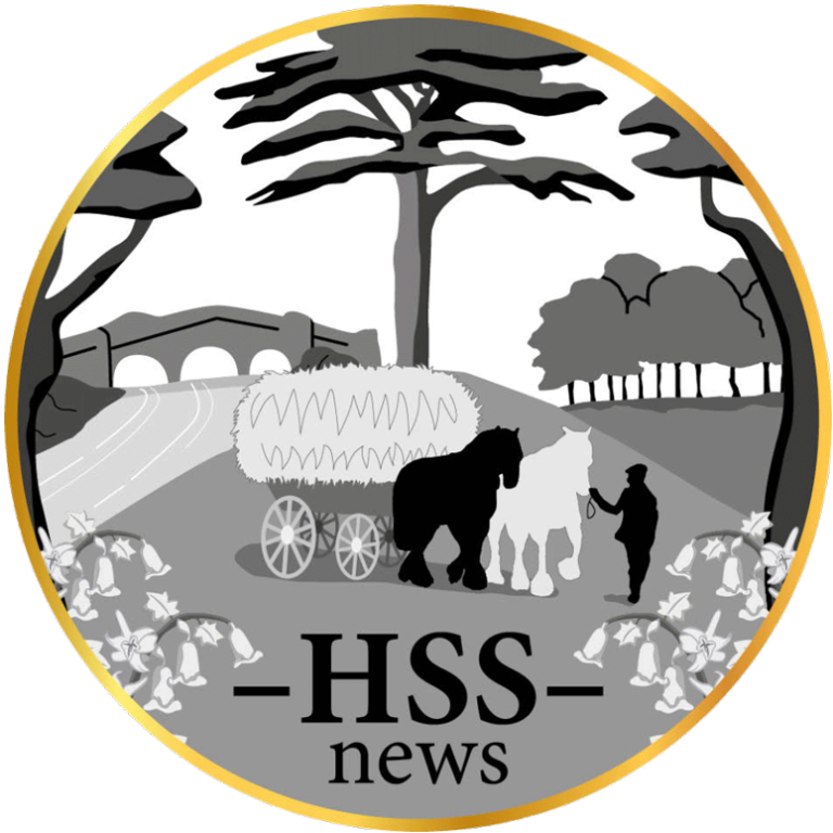 Hainford and Stratton Strawless Newsletter Logo